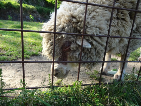 20140505 (44)