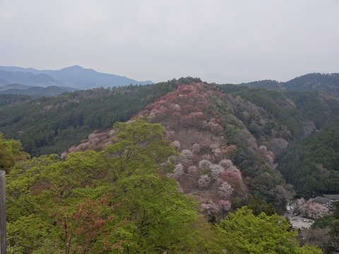 20140413 (55)
