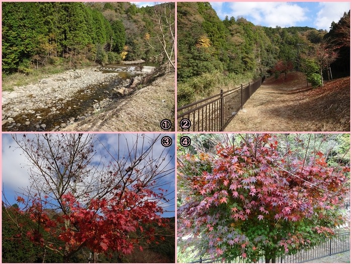 MMPark-3