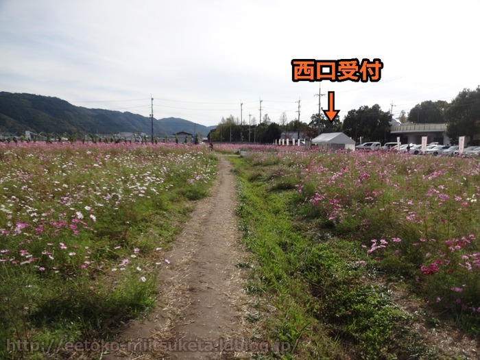 YumeCosmosEn (44)