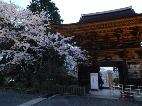 20140407 (11)