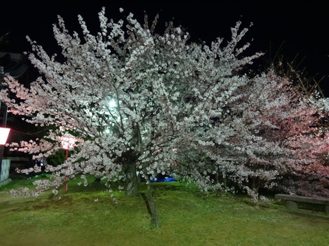 20140404 (65)