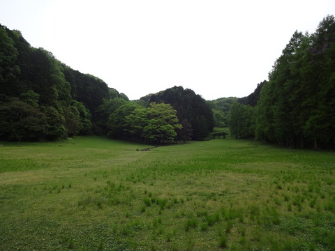 YatayamaAsobinoMori (50)
