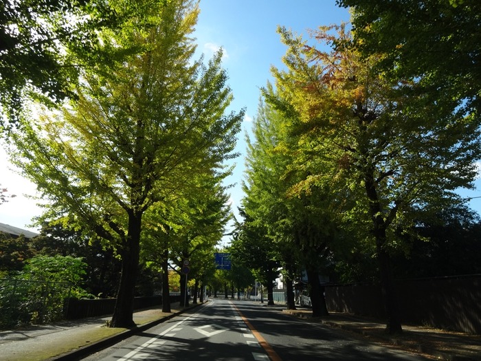 TenriCity-1