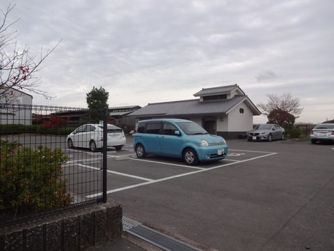 Tatsutagawa (8)