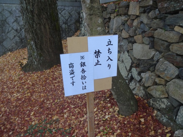 Shouhouji (6)