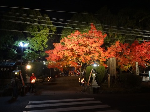 Tomijinjya (10)