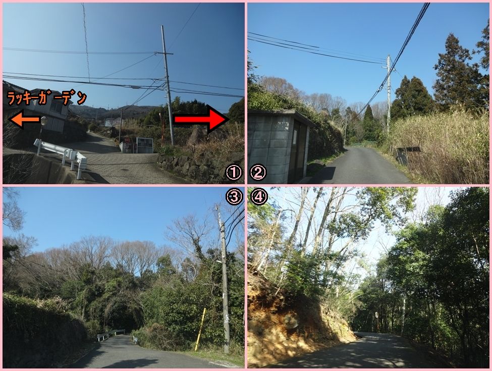 森の中にひっそり佇むカフェ Maho Roba Forestみぃつけた えぇとこみぃつけた 森の中にひっそり佇むカフェ Maho Roba Forestみぃつけた えぇとこみぃつけた