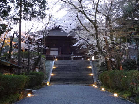 20140407 (24)