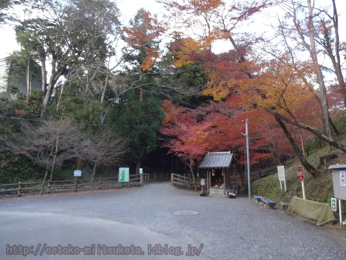 Suizawa-MomijiDani (9)