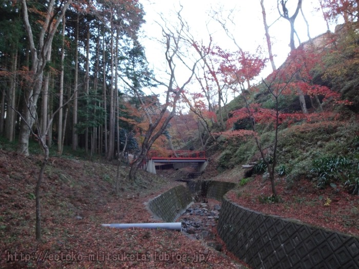 Suizawa-MomijiDani (13)