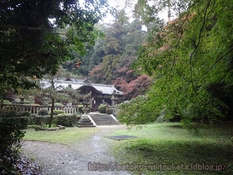 穴場モミジ探し！穴師坐兵主神社みぃつけた！