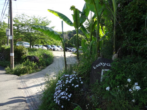 20140505 (14)