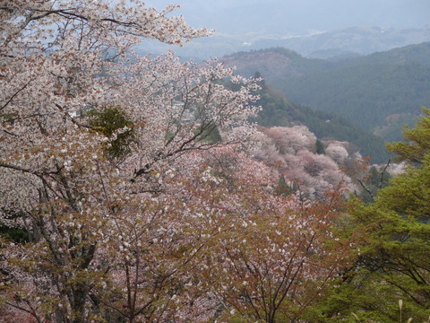 20140413 (10)