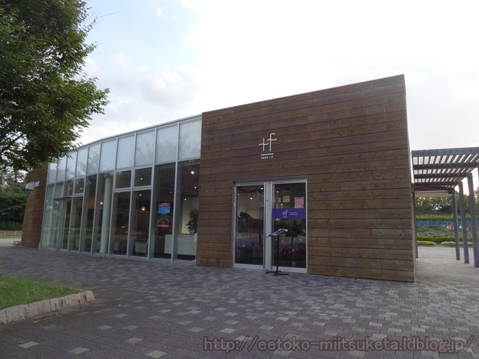cafe +f (3)