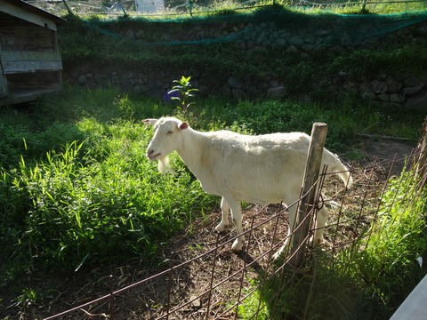 20140505 (69)