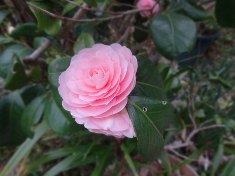 20140413 (17)