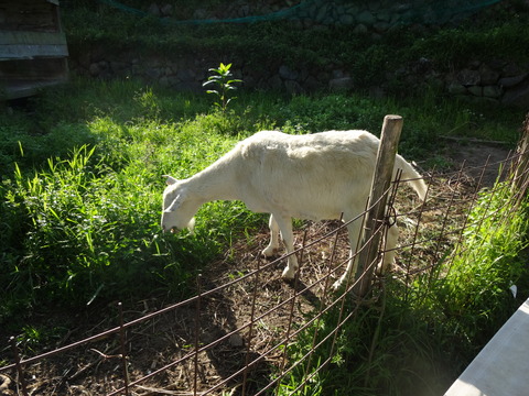 20140505 (70)