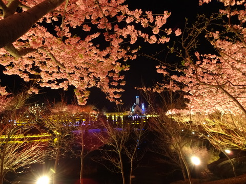 20140322 (157)