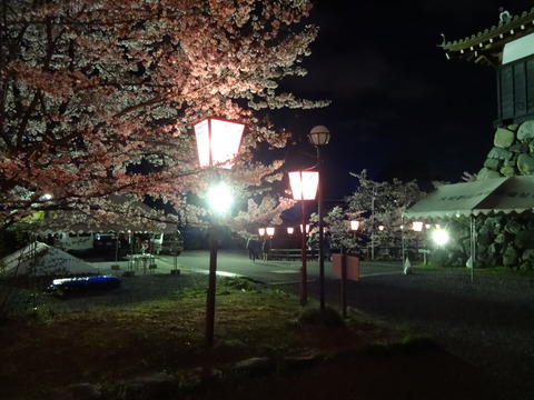 20140404 (75)