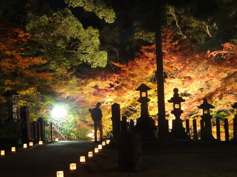Tomijinjya (55)