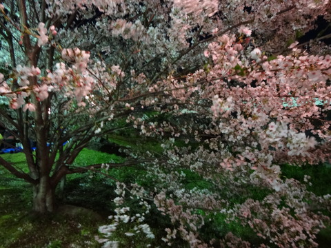 20140404 (49)