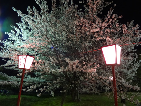 20140404 (33)