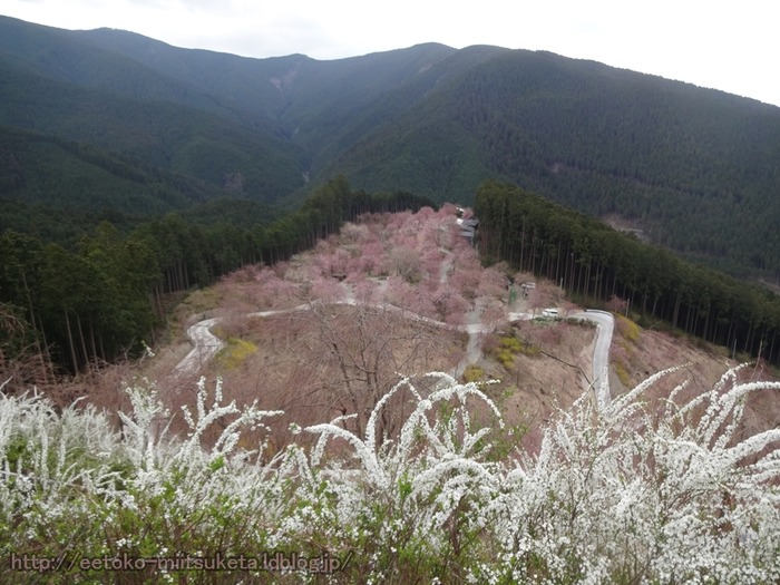Takaminosato (11)