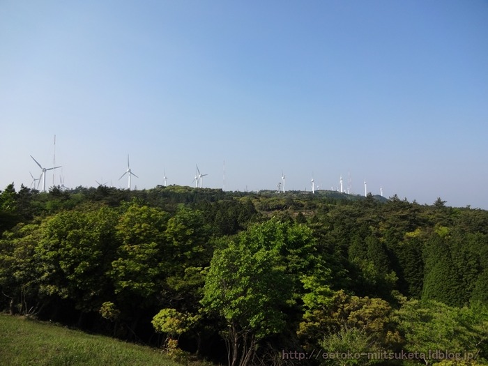 AoyamaKougen (13)