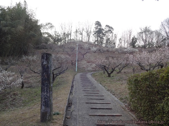 KurotaniPark (4)