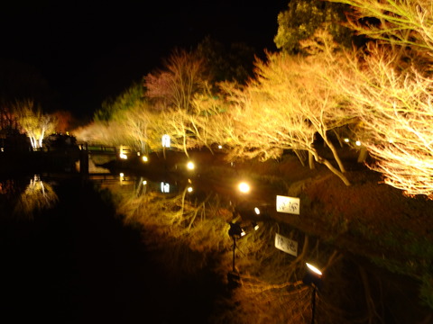 20140322 (245)