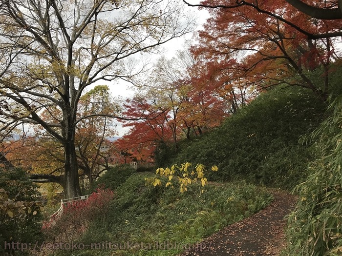 TatsutaPark (15)