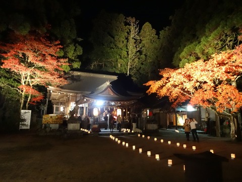 Tomijinjya (52)
