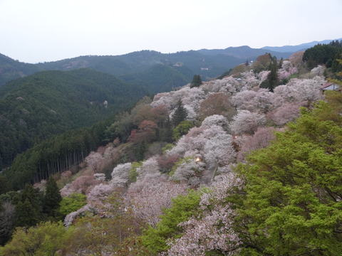 20140413 (54)