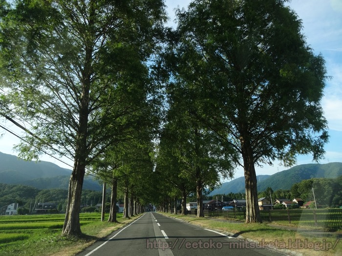 Metasekoia (20)
