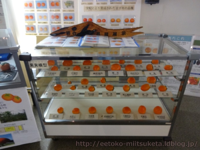 KakiHakubutukan (19)