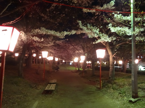 20140404 (7)
