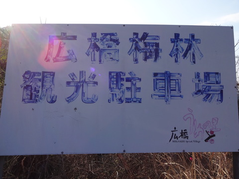 Hirohashibairin (21)