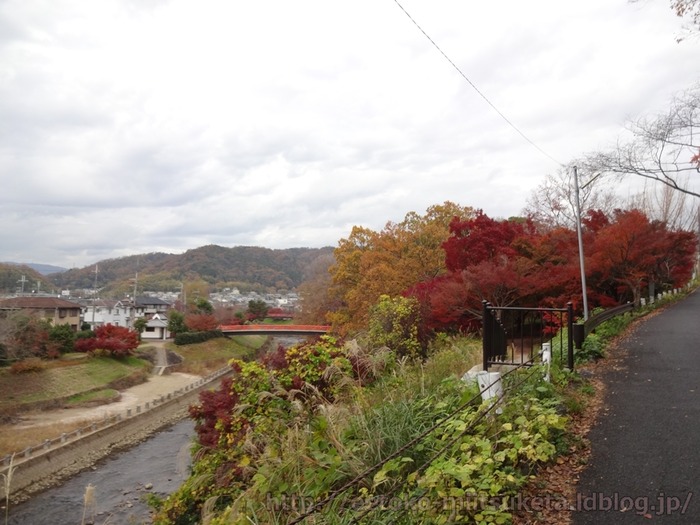 TatsutaPark (7)