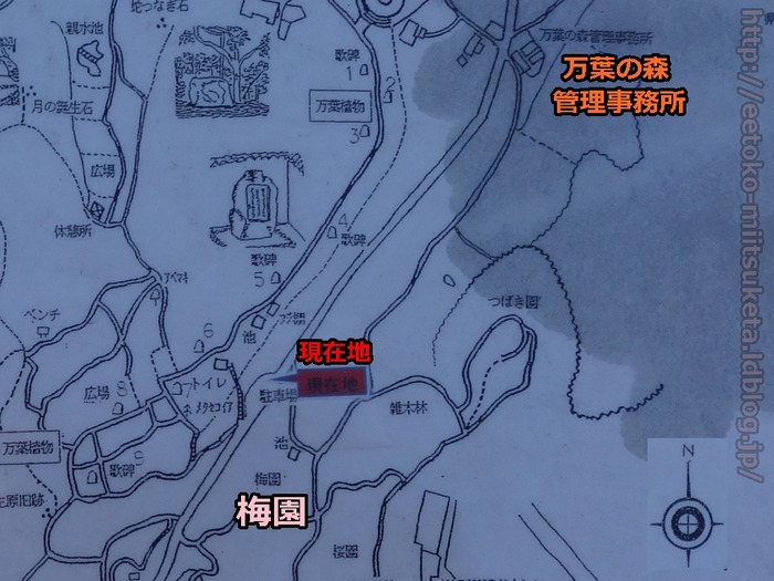 Manyou no Mori (4)