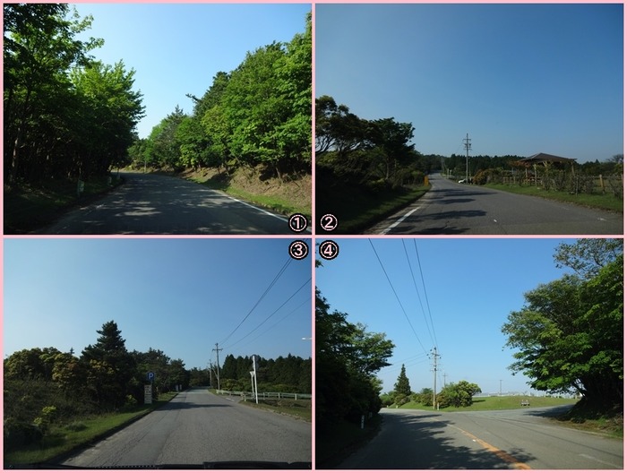 AoyamaKougen (10)