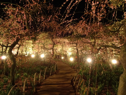20140322 (131)