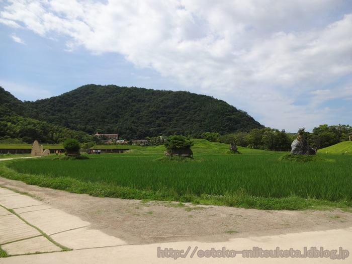La_collina (13)