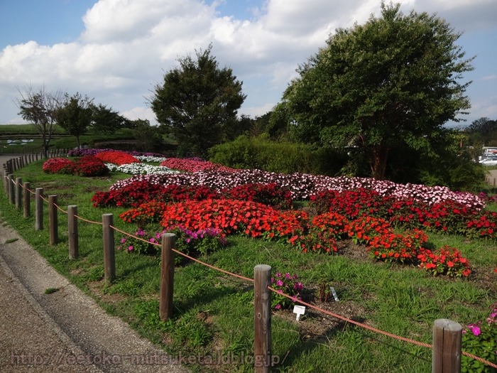 UmamiKyuuryou Park (10)