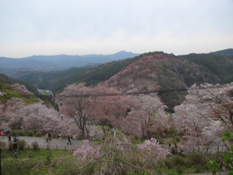 20140413 (50)