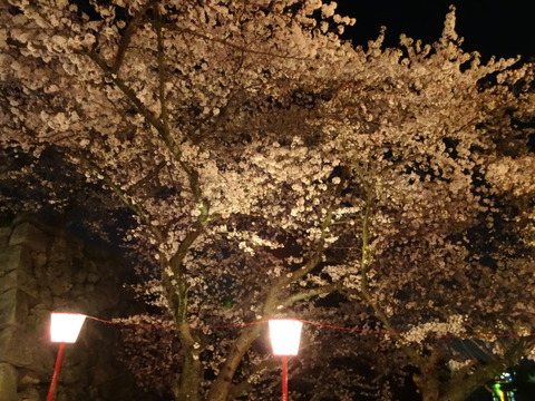 20140404 (95)