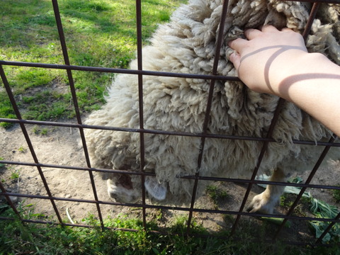 20140505 (46)