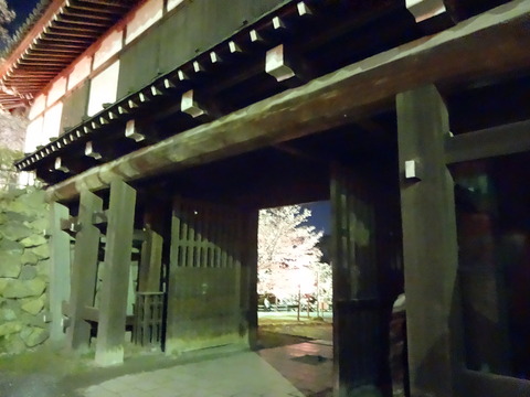 20140404 (74)