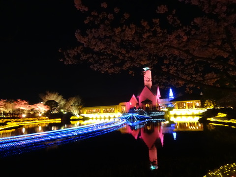 20140322 (253)