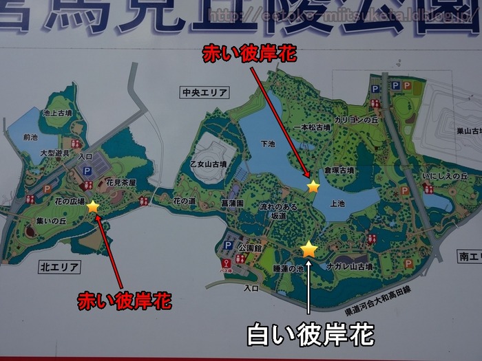 UmamiKyuuryou Park (32)